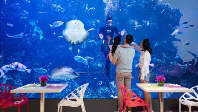 Zhuhai Chimelong Circus Hotel food street buffet restaurant - family-friendly buffet vouchers for breakfast/lunch/dinner (options for 2/3 persons or family sets)