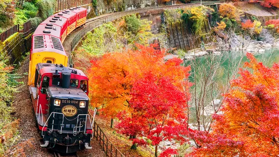 Tour di un giorno con il treno turistico di Arashiyama con partenza da Osaka/Kyoto, opzione pacchetto inclusa Hozugawa River Boat Ride (Hozugawa Kudari)