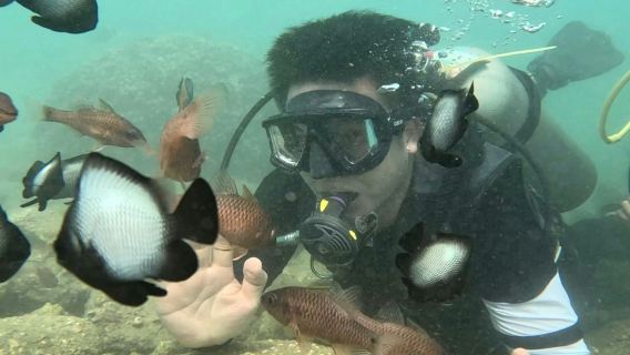 初心者向けスキューバダイビングツアー