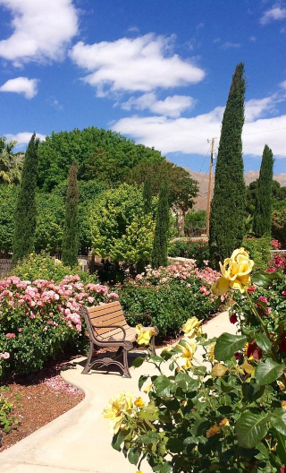 1-day tour to San Jose Municipal Rose Garden, San Jose Museum of Art, The Tech Interactive and Plaza de César Chávez