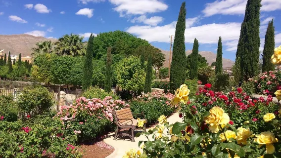 1-day tour to San Jose Municipal Rose Garden, San Jose Museum of Art, The Tech Interactive and Plaza de César Chávez