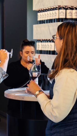 Half-day tour of the Medoc wine region in Bordeaux, France|Winery tour with wine tasting + delicious snacks