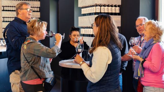 Passeio de meio dia na região vinícola de Médoc em Bordéus, França | Inclui visita à vinícola, degustação de vinhos e deliciosos petiscos