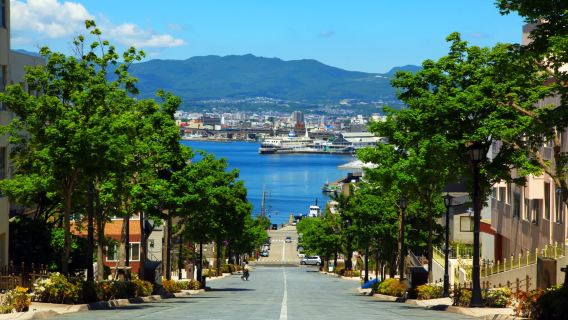 Lawatan Sehari Klasik Hakodate | Pentagon Goryokaku · Motomachi Oasis · Pemandangan Malam Gunung Hakodate dengan Sewaan Peribadi