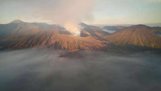 Lawatan Tersuai Sewa Peribadi: Bandar Forks - Tasik Crescent - Hurricane Ridge, Kembali ke Seattle, Amerika Syarikat