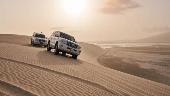 Doha City, Dhow Cruise and Desert Safari - Full-Day Tour