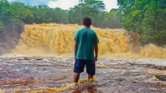 Brazil Manaus President Figueiredo waterfall 1-day tour Amazon rainforest/lunch included