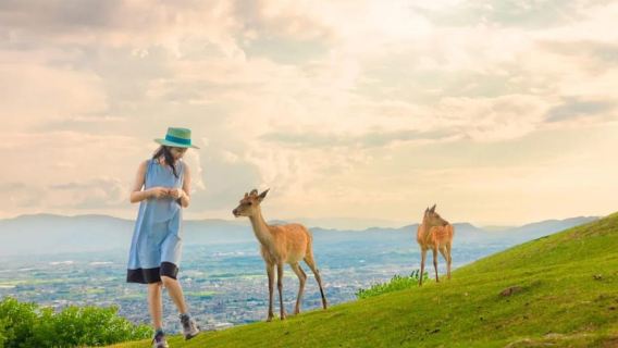Osaka: Nara Park and Uji Hot Spring Day Trip