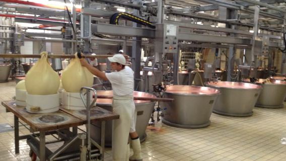Parma: Parmigiano Reggiano Farm Tour & Tasting with Transfer