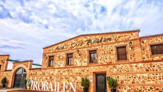"Oro Bailén": Tour durch den Oro Bailen Hain + Mühle + Verkostung