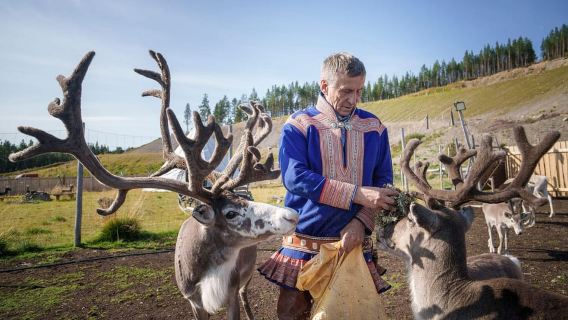 Alta: Reindeer - A carrier of Sámi Culture