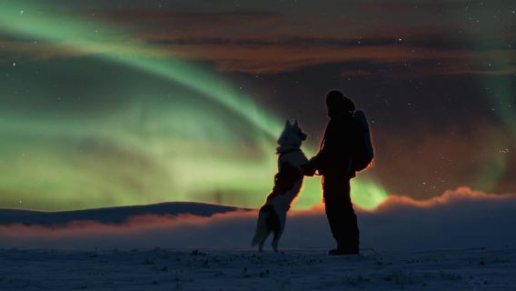 Saariselkä: Husky Safari with Aurora Borealis Hunt