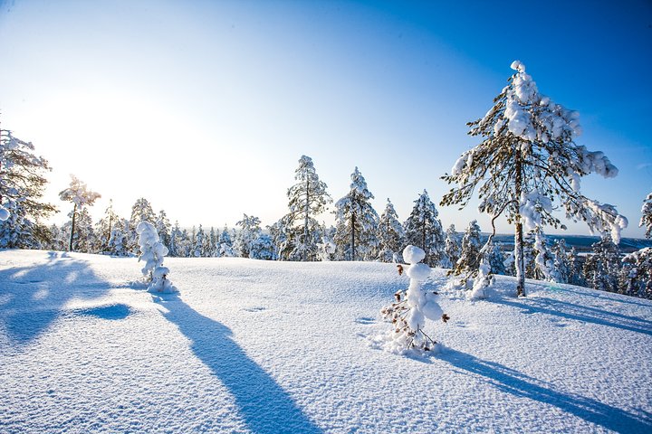 Deep Snow Powder Driving 2024 - Rovaniemi