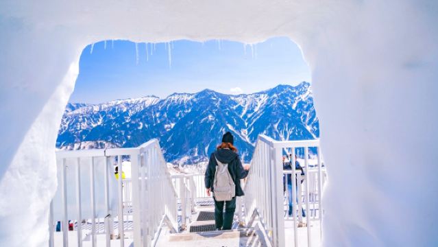 Excursion d'une journée sur la route alpine de Tateyama Kurobe au Japon : Départ de Nagano / Visite du mur de neige