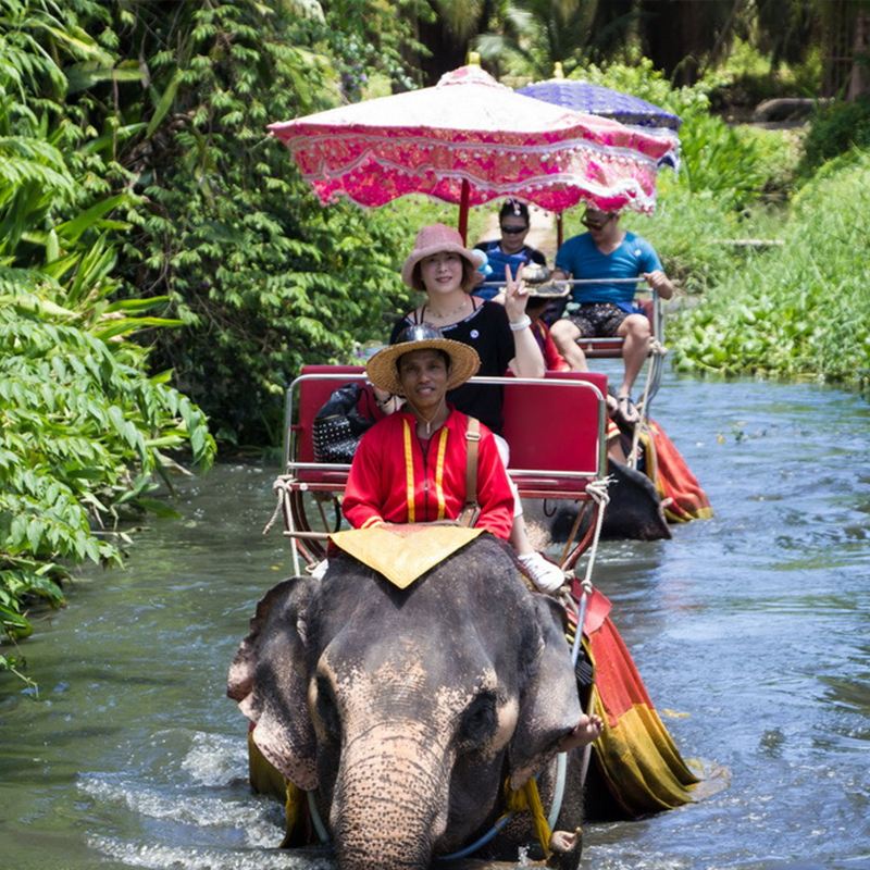 รถส่วนตัวท่องเที่ยวอำเภอดำเนินสะดวก + ตลาดแม่กลอง + เมืองโบราณ : แถมเครื่องดื่มเย็นๆ ช่วยคลายร้อน สัมผัสวิถีชีวิตท้องถิ่น