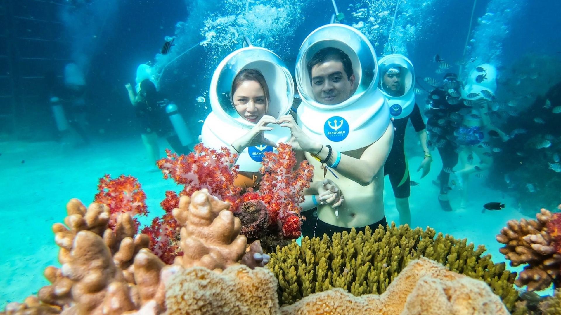 Phu Quoc Island three-island tour + Namaste Coral Park underwater walk [includes video and photos]