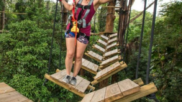 TreeTop Challenge Sunshine Coast: Admission Ticket