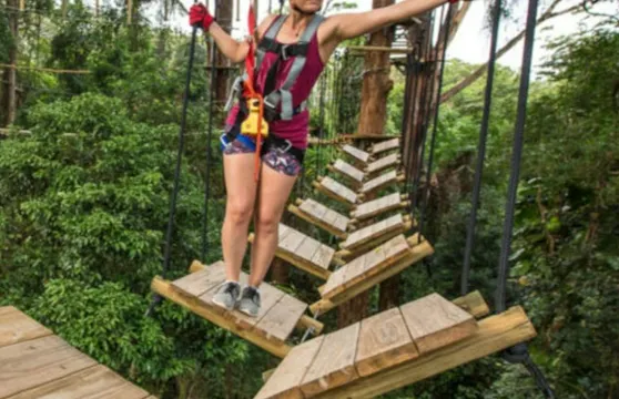 TreeTop Challenge Sunshine Coast:門票