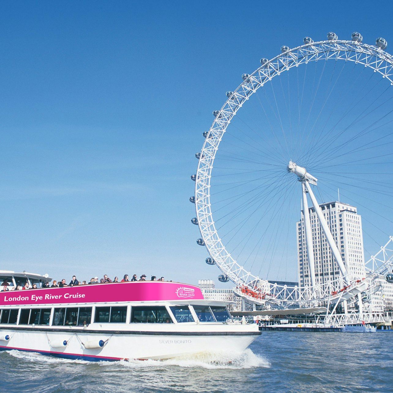 London Eye: crociera sul fiume