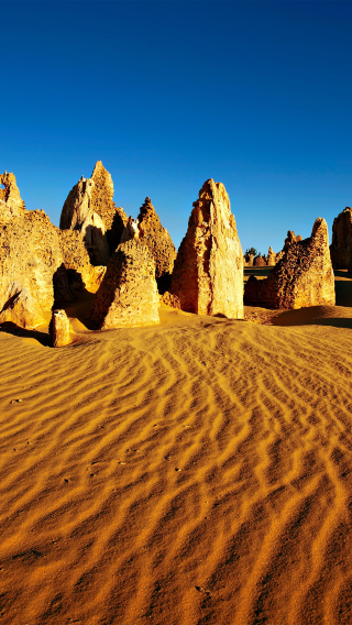1-day tour to the pinnacles desert, caversham wildlife park, 4WD adventure, sandboarding and fish & chips meal in Perth