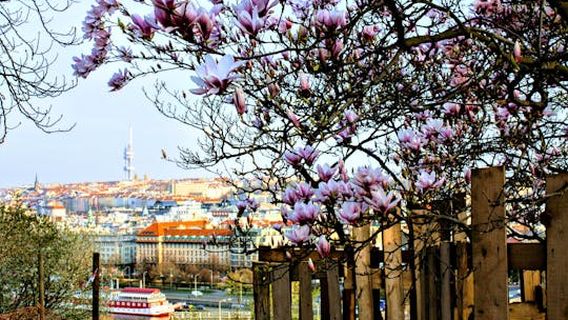 Prague