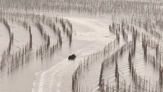 福建霞浦沙江S灣一日遊【半月裡、東安魚排、滸嶼澳村上門接駁】