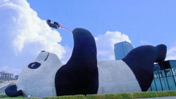 Dujiangyan night tour + South Bridge night view 1-day tour (afternoon departure)