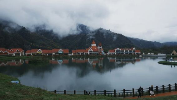 DayiTours
