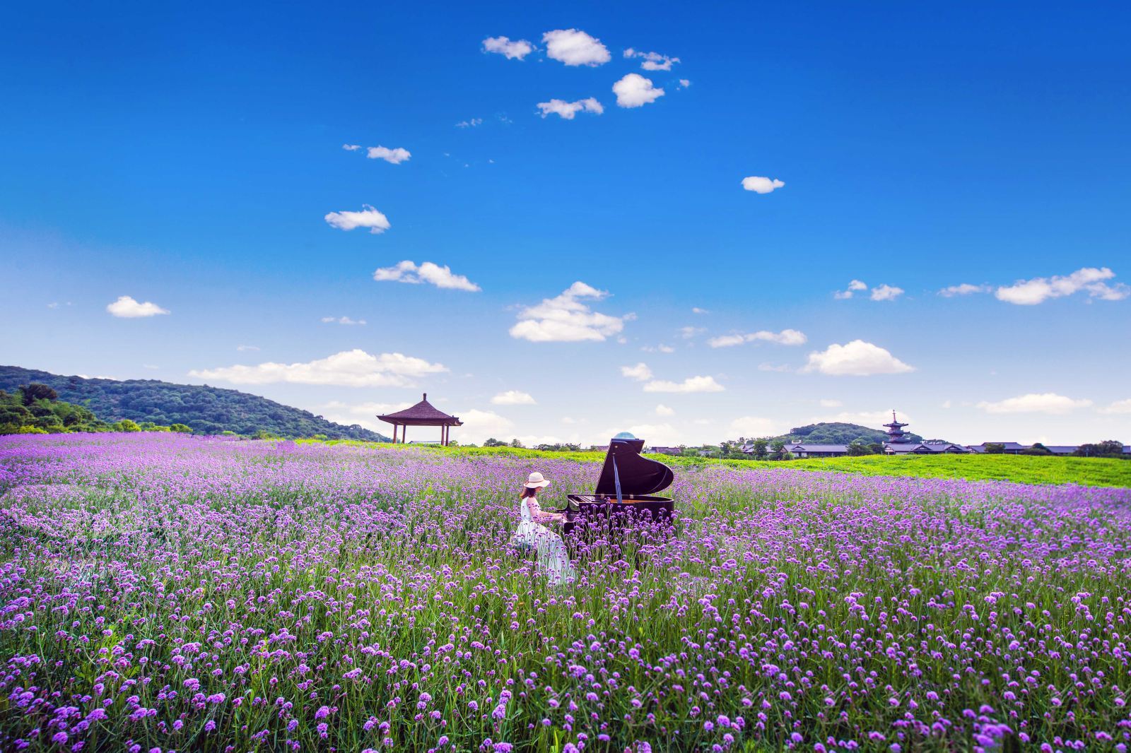 Wuxi: Nianhua Bay + Tai Hu Yuantouzhu Scenic Spot + Nanchang Street|Private Charter Day Tour [Chinese, English, Russian, French, German, Spanish]