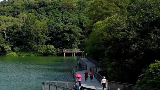 広州白雲山+陳家祠(陳氏書院)+永慶坊+太古倉ワンデーツアー(中英語サービス対応)