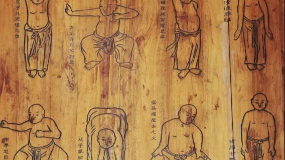 Esperienza di Baduanjin Qigong: coltiva la pace interiore attraverso l'antico movimento cinese