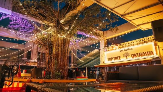 Biglietto d'ingresso TOP TREE + bevanda (esclusivo per i visitatori stranieri)