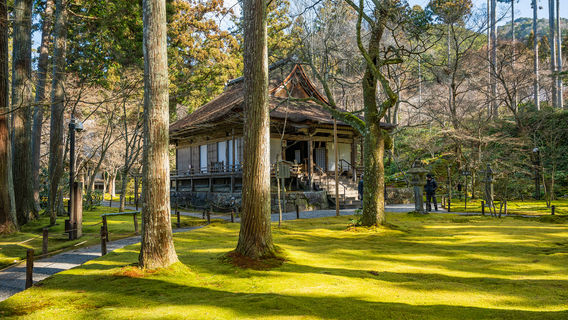 HikoneTours