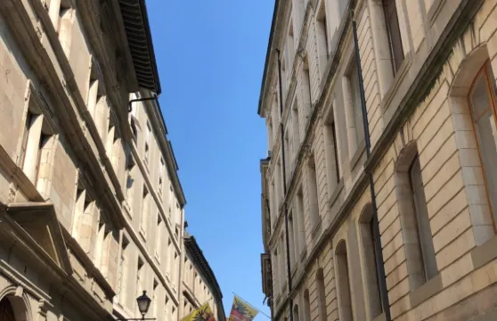 從國際都市到雪山之巔：日內瓦串聯雙鎮與冰川奇觀 1 日