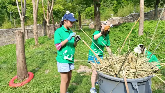 Chengdu Panda Base Volunteer Experience Private Half-Day Tour (Optional Charter Tour)