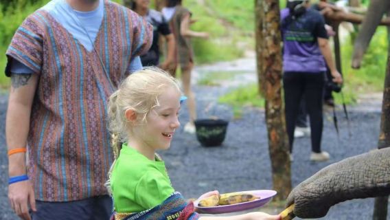 Penawaran Spesial Musim Panas! Beli 1 Dewasa, Gratis 1 Anak|Memberi Makan Kapibala|Kamp Konservasi Gajah Nadi