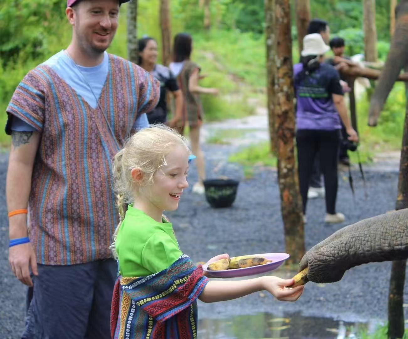 Offerta estiva! Acquista 1 biglietto adulto e ricevi 1 biglietto bambino gratis|Regalo di alimentazione per i capibara|Campo di protezione degli elefanti Nai Di