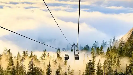 溫哥華出發Squamish小鎮+吊橋海天纜車包車一日遊