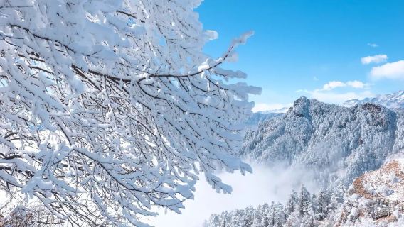 Viaje con servicio de coche privado con conductor en el monte Wawu