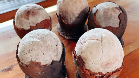 Bohol Cultural and Heritage Tour