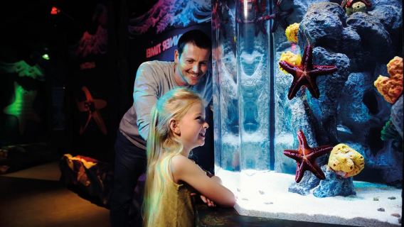 London: SEA LIFE & London Eye Combo Ticket