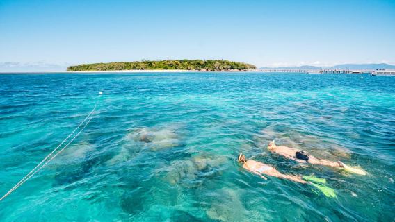 Cairns: Snorkel en Green Island o barco con fondo de cristal