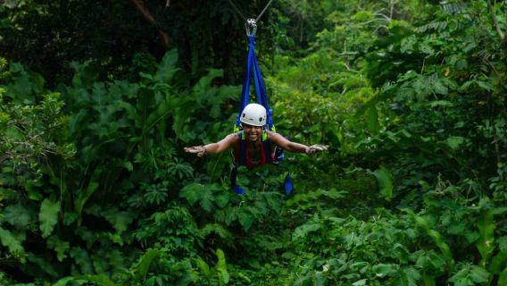 Puerto Viejo Limón: Tur Kanopi / Zipline Terbaik