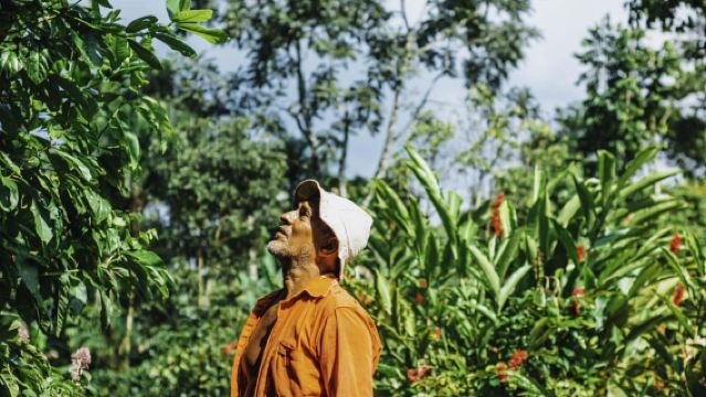 La Fortuna: lokale koffietourervaring
