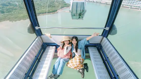 Билеты на канатную дорогу Нгонпинг 360 в Гонконге - стандартный вагон/стеклянный вагон/панорамный вагон