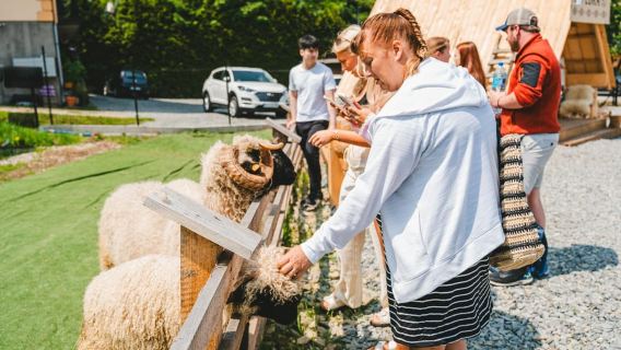 Cracovie : excursion d'une journée à Zakopane avec trajet en funiculaire