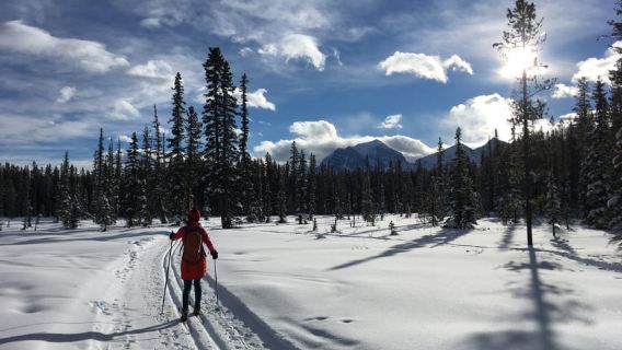 Lake Louise: Cross Country Skiing Lesson with Tour
