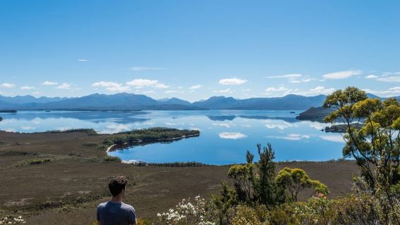 Hobart: Fly & Cruise in Southwest Wilderness Area with Lunch