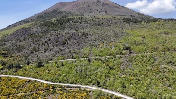 Vesuvio Bike Tour: giro in vetta e biglietto d'ingresso