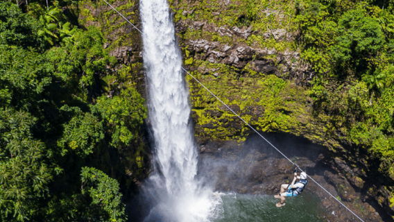 Hawaii: Big Island Hilo Zipline Tour with Cruise Ship Pickup